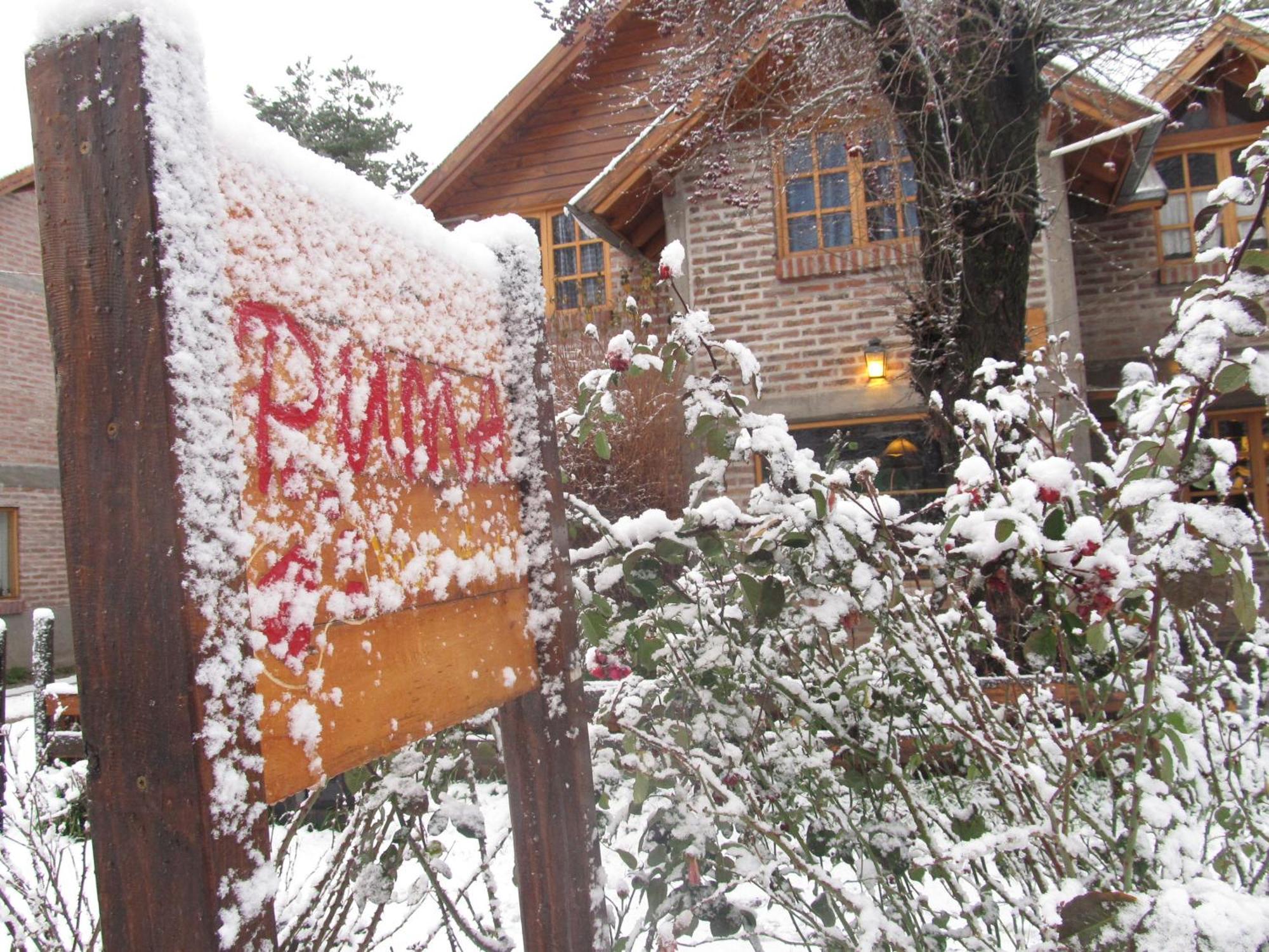 Puma Hostel San Martín de los Andes Exterior photo